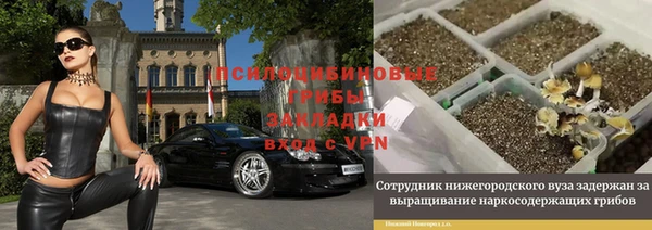 2c-b Абинск